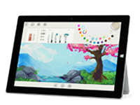 城步Surface 无法开启、Windows 无法启动或电池无法充电